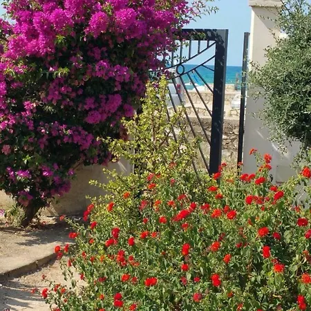 Dei Limoni Sul Mare